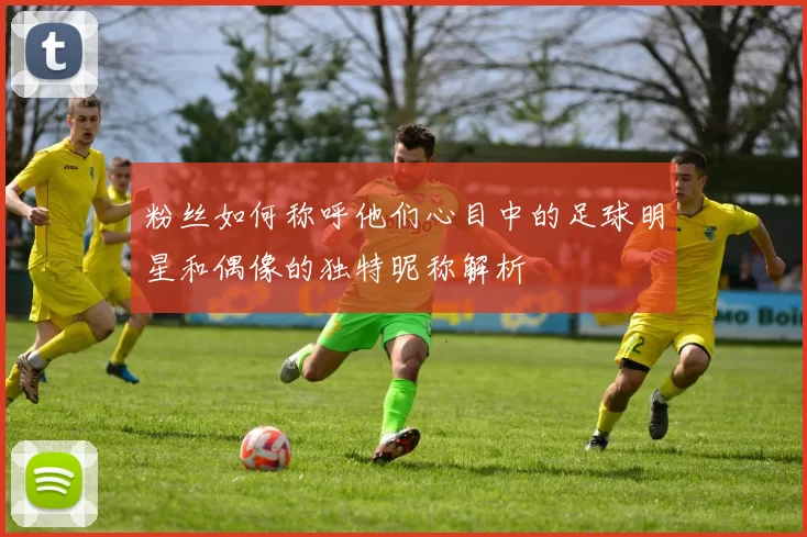 粉丝如何称呼他们心目中的足球明星和偶像的独特昵称解析