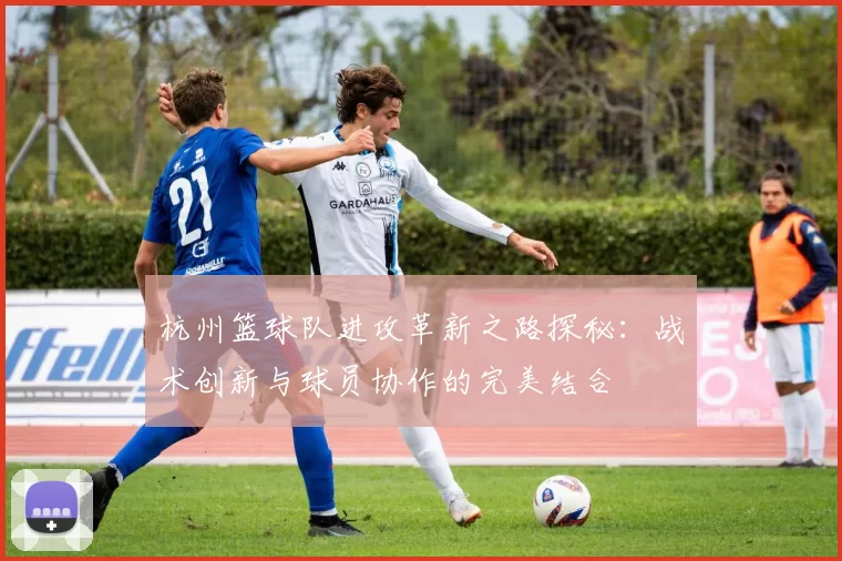 杭州篮球队进攻革新之路探秘：战术创新与球员协作的完美结合