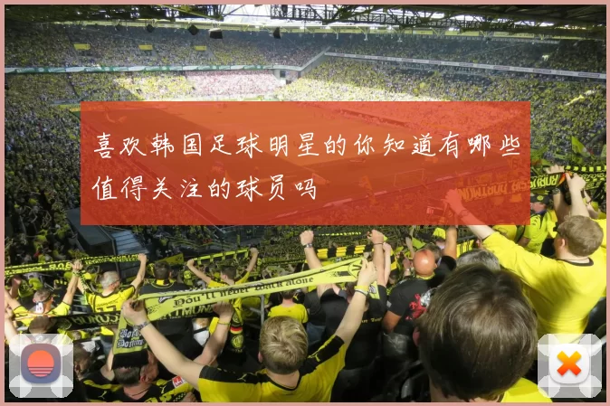 喜欢韩国足球明星的你知道有哪些值得关注的球员吗