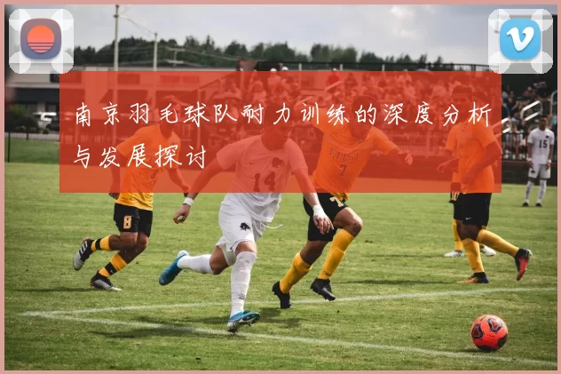 南京羽毛球队耐力训练的深度分析与发展探讨