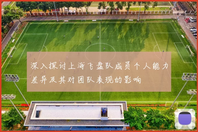 深入探讨上海飞盘队成员个人能力差异及其对团队表现的影响