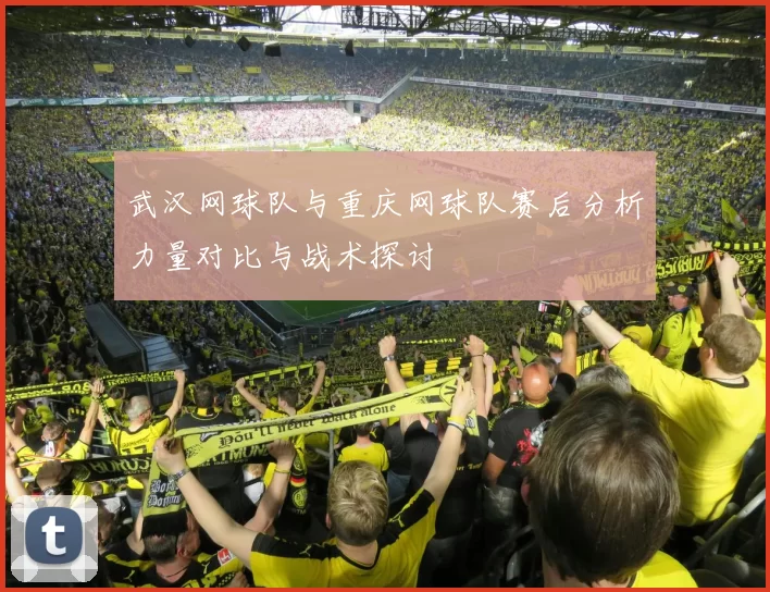 武汉网球队与重庆网球队赛后分析力量对比与战术探讨