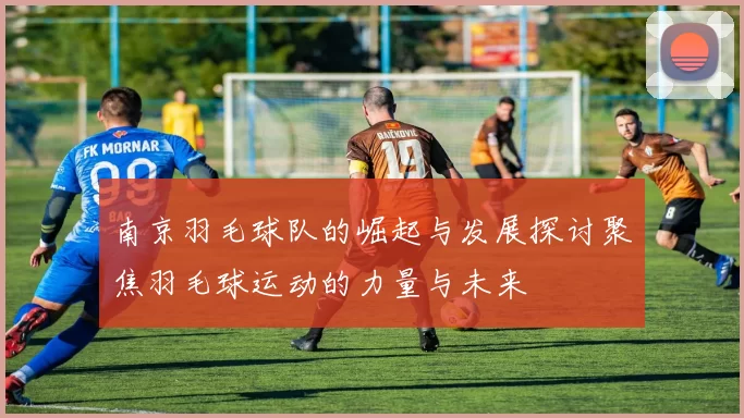 南京羽毛球队的崛起与发展探讨聚焦羽毛球运动的力量与未来