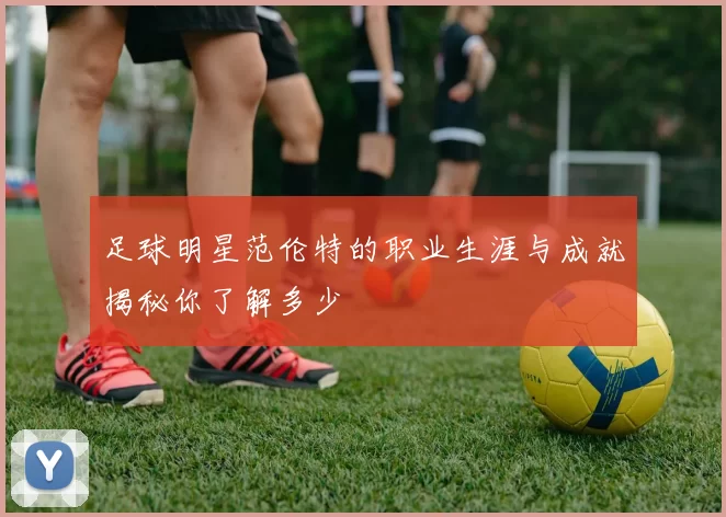 足球明星范伦特的职业生涯与成就揭秘你了解多少