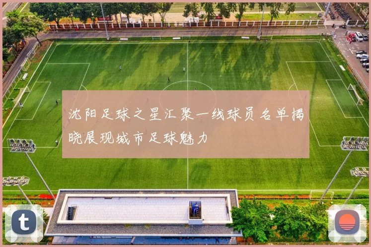 沈阳足球之星汇聚一线球员名单揭晓展现城市足球魅力