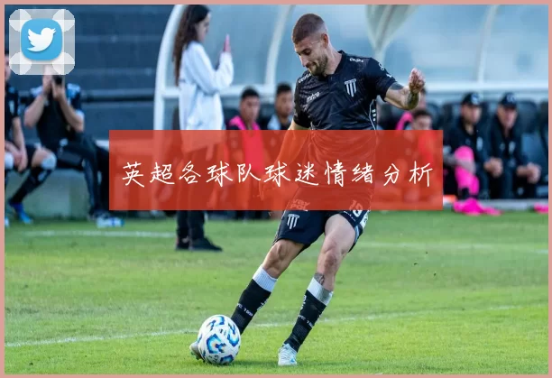 英超各球队球迷情绪分析