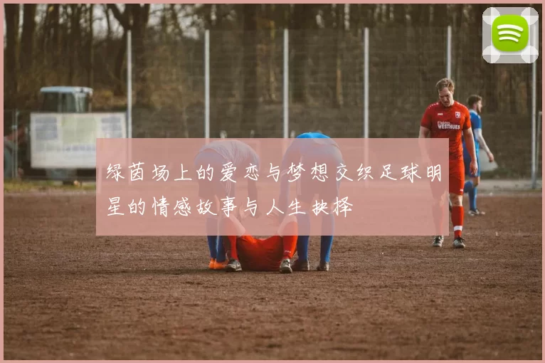 绿茵场上的爱恋与梦想交织足球明星的情感故事与人生抉择