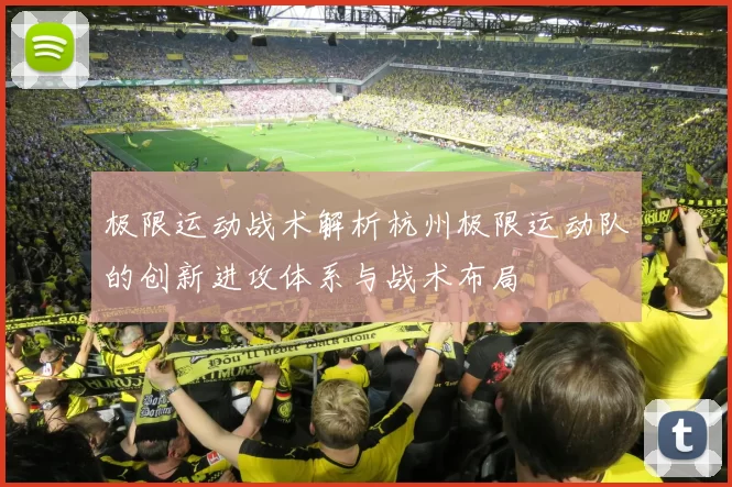 极限运动战术解析杭州极限运动队的创新进攻体系与战术布局