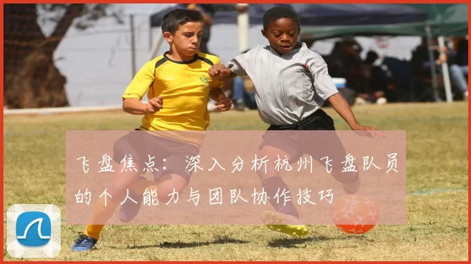 飞盘焦点：深入分析杭州飞盘队员的个人能力与团队协作技巧