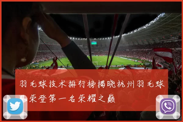 羽毛球技术排行榜揭晓杭州羽毛球队荣登第一名荣耀之巅