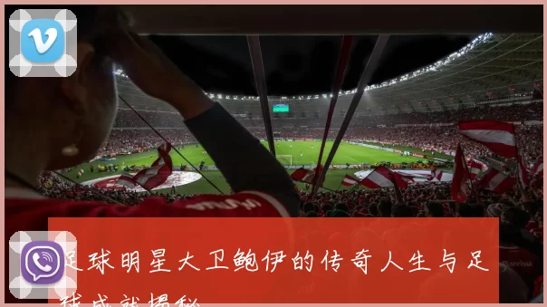 足球明星大卫鲍伊的传奇人生与足球成就揭秘