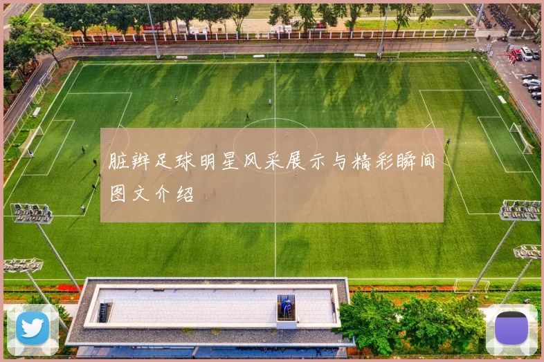 脏辫足球明星风采展示与精彩瞬间图文介绍