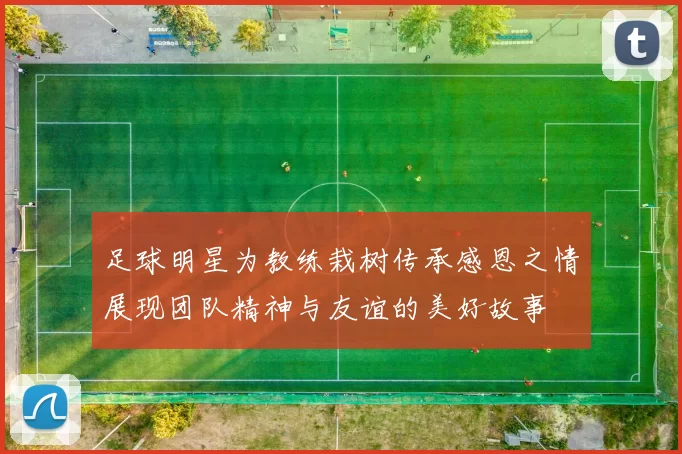 足球明星为教练栽树传承感恩之情展现团队精神与友谊的美好故事