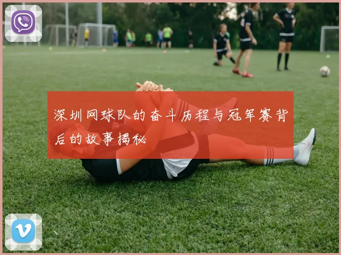 深圳网球队的奋斗历程与冠军赛背后的故事揭秘