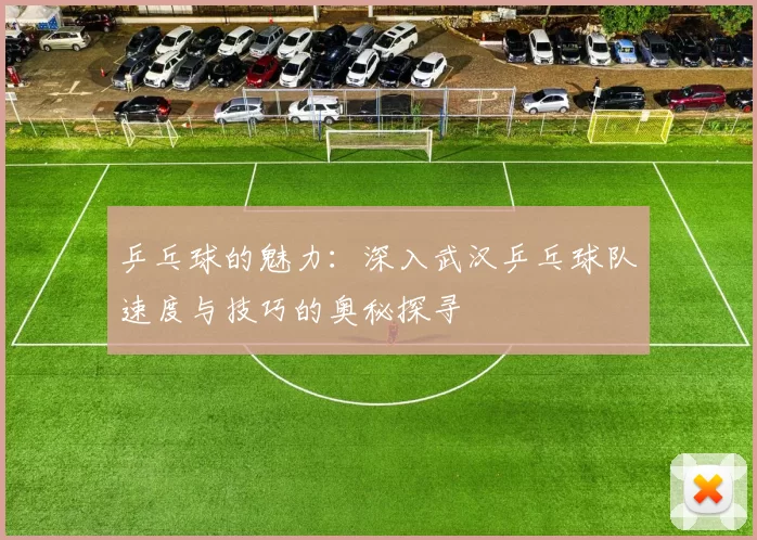 乒乓球的魅力：深入武汉乒乓球队速度与技巧的奥秘探寻