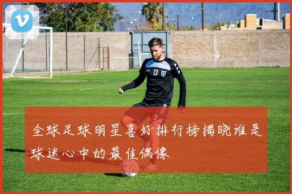全球足球明星喜好排行榜揭晓谁是球迷心中的最佳偶像
