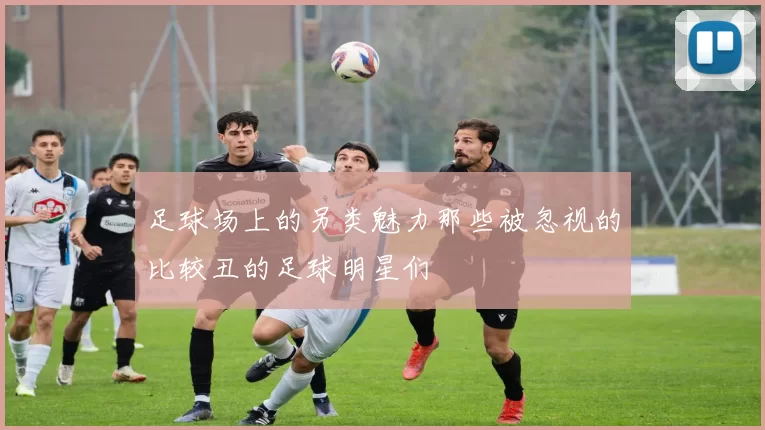 足球场上的另类魅力那些被忽视的比较丑的足球明星们