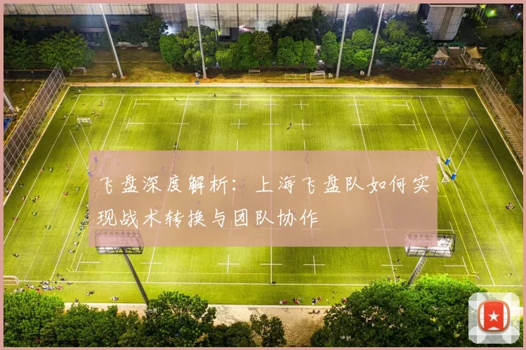 飞盘深度解析：上海飞盘队如何实现战术转换与团队协作