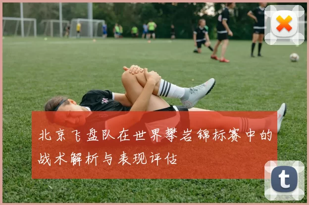 北京飞盘队在世界攀岩锦标赛中的战术解析与表现评估