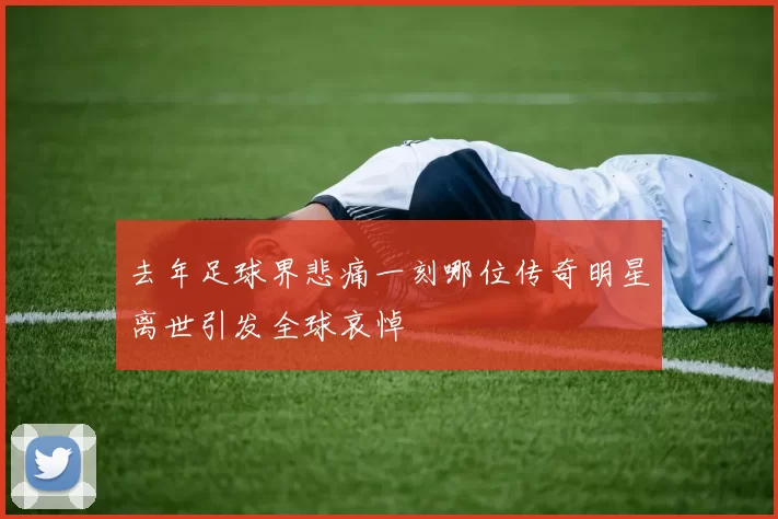 去年足球界悲痛一刻哪位传奇明星离世引发全球哀悼