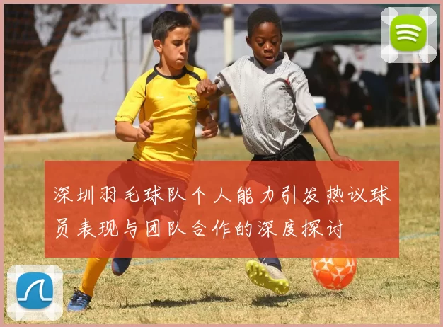 深圳羽毛球队个人能力引发热议球员表现与团队合作的深度探讨