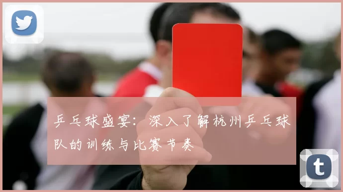 乒乓球盛宴：深入了解杭州乒乓球队的训练与比赛节奏