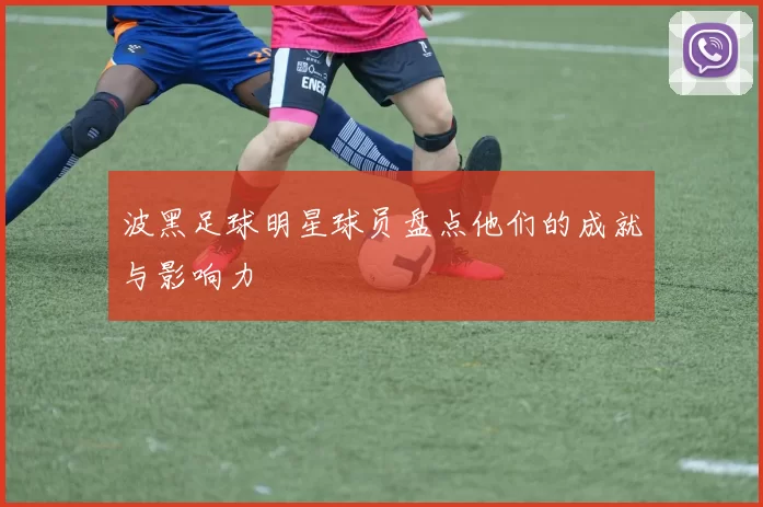 波黑足球明星球员盘点他们的成就与影响力
